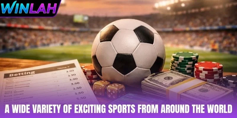 A wide variety of exciting sports from around the world