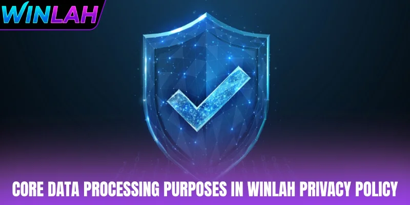 Core data processing purposes in WINLAH privacy policy