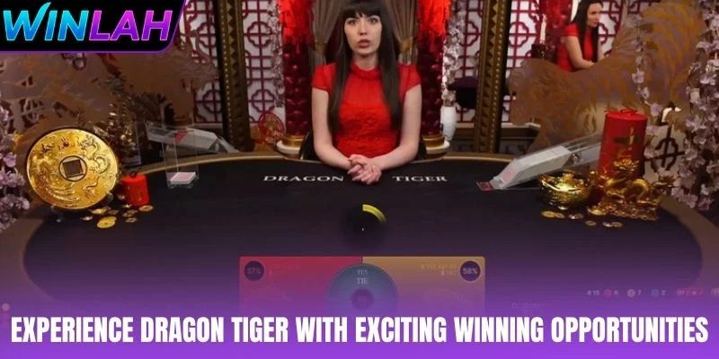 Experience Dragon Tiger with exciting winning opportunities