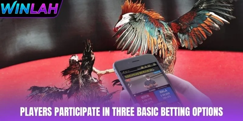 Players participate in three basic betting options