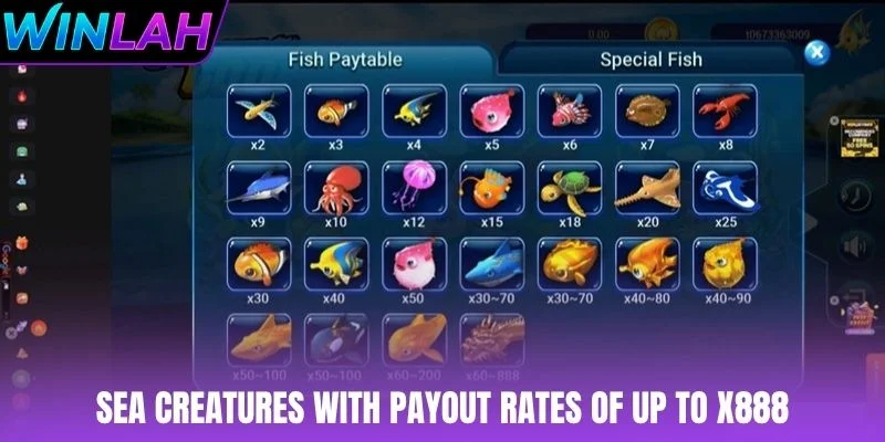 Sea creatures with payout rates of up to x888